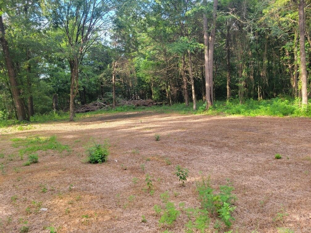 36 Virginia  Plummerville, AR