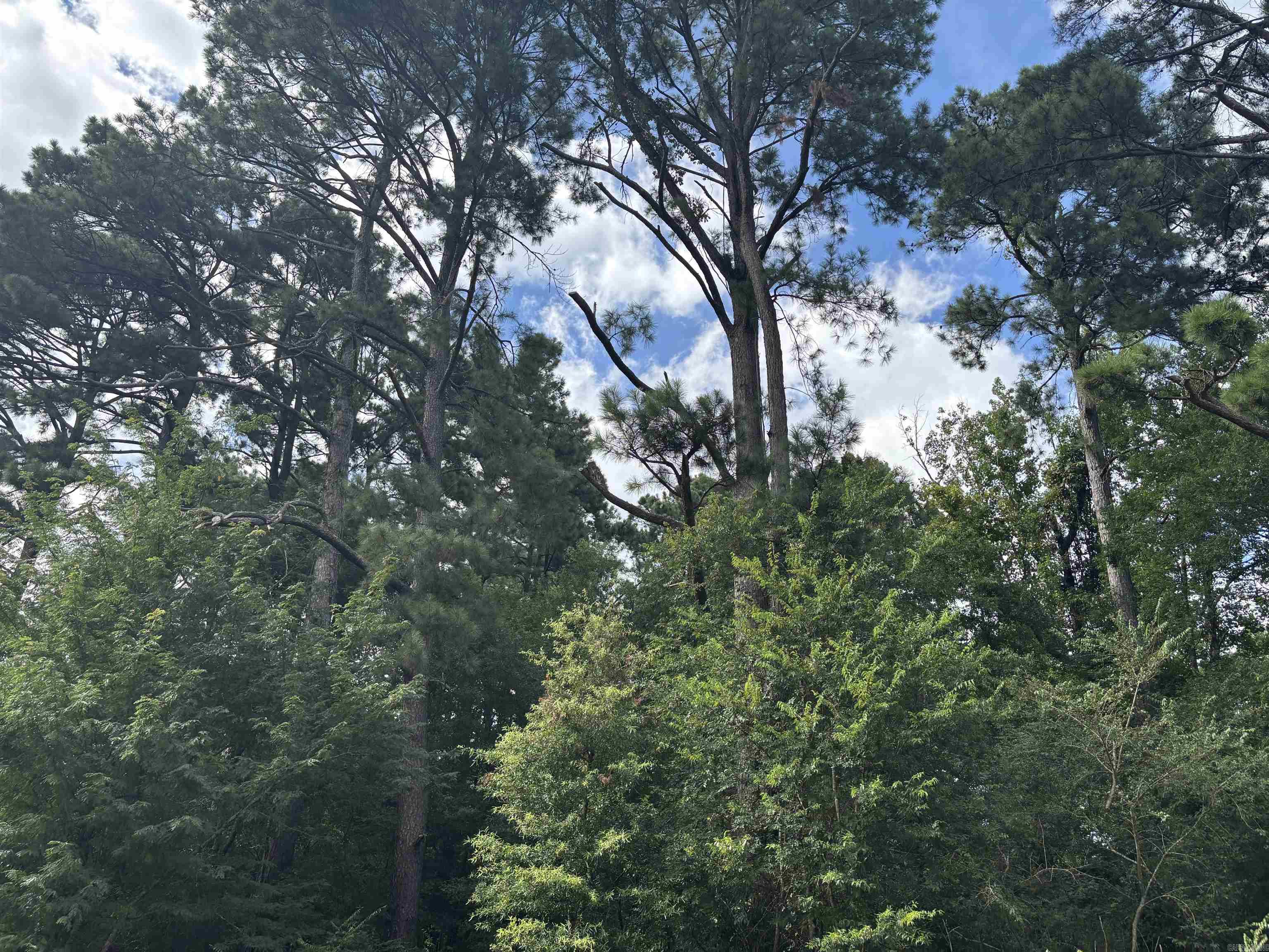 3324 S 167  Sheridan, AR