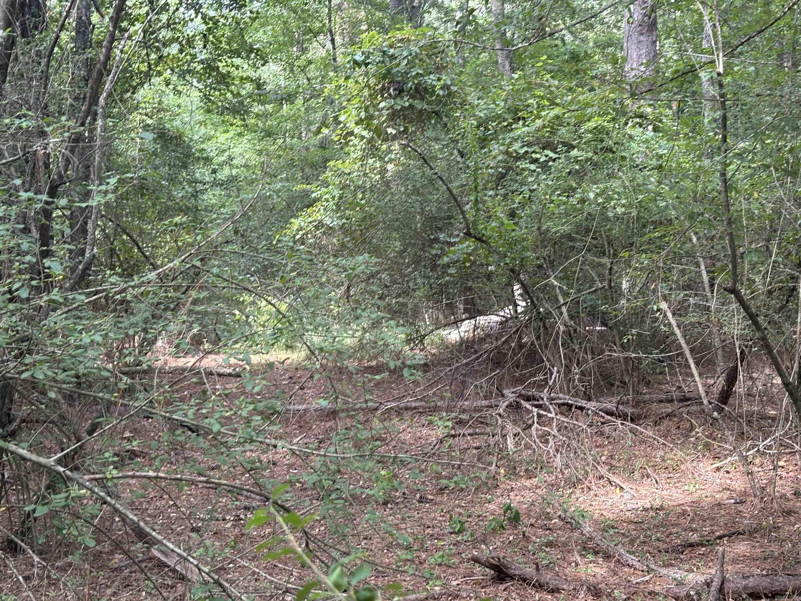 3324 S 167  Sheridan, AR