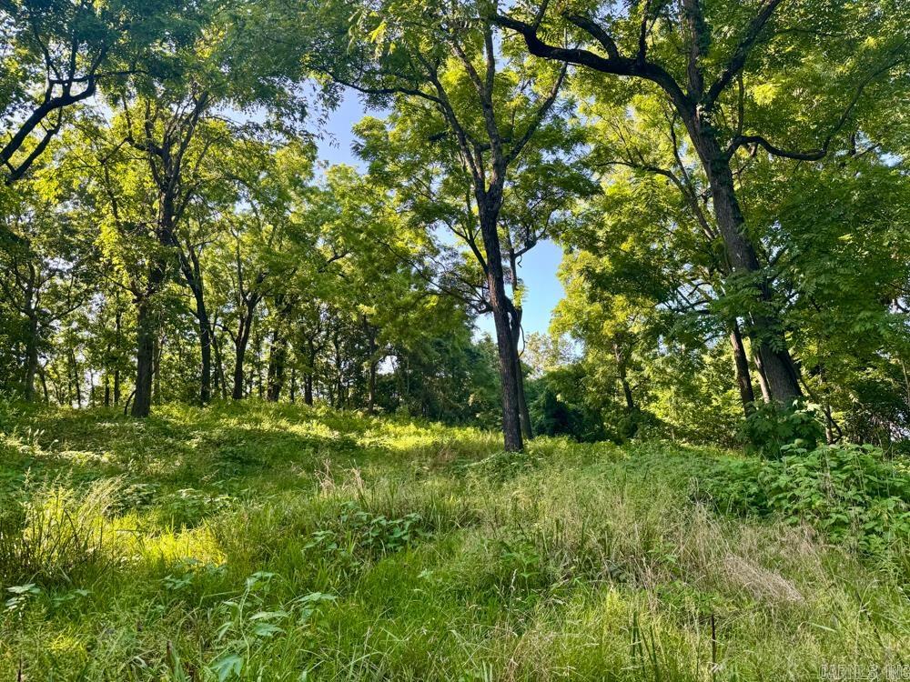 001 9  Melbourne, AR