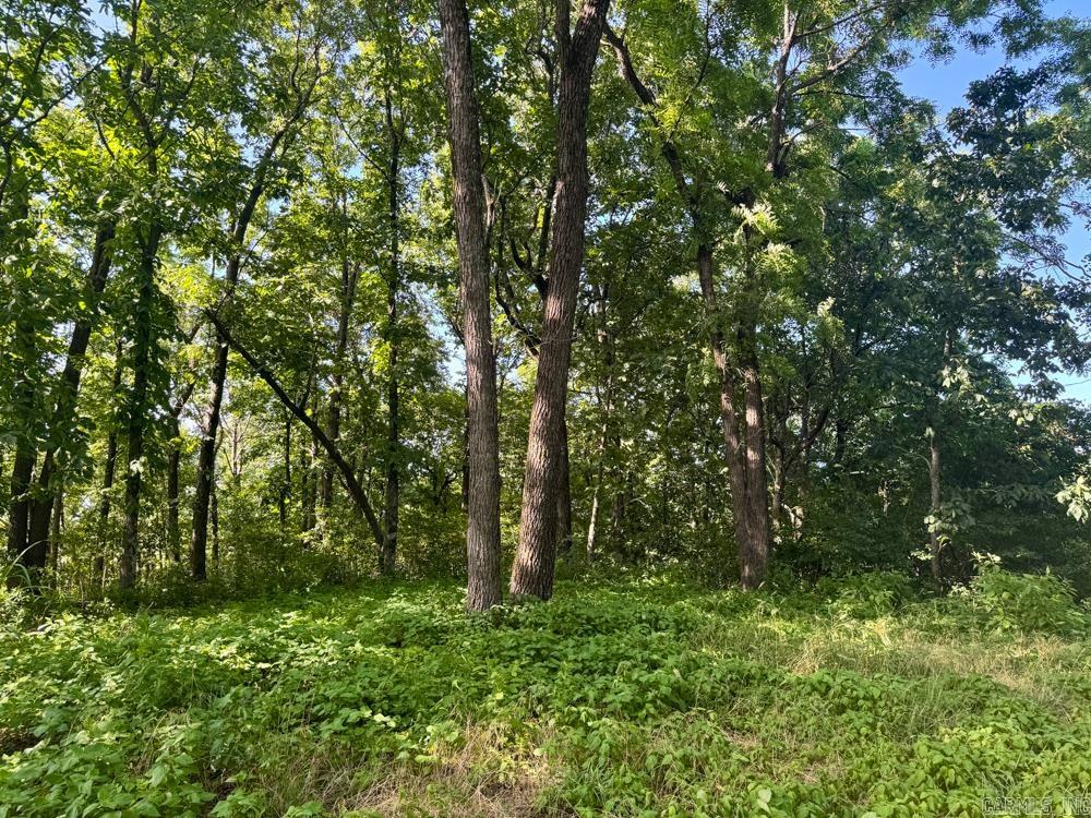 001 9  Melbourne, AR