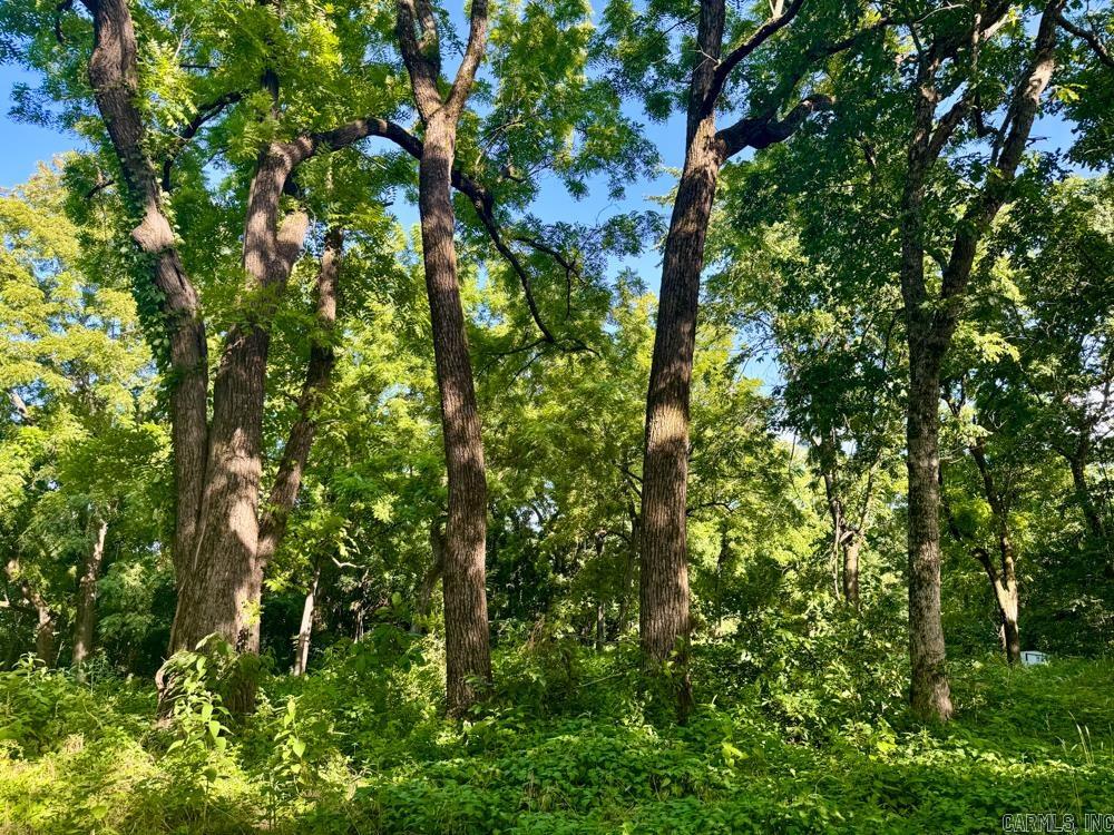 001 9  Melbourne, AR
