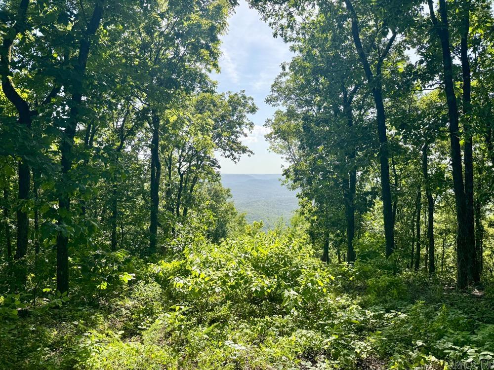 001 9  Melbourne, AR