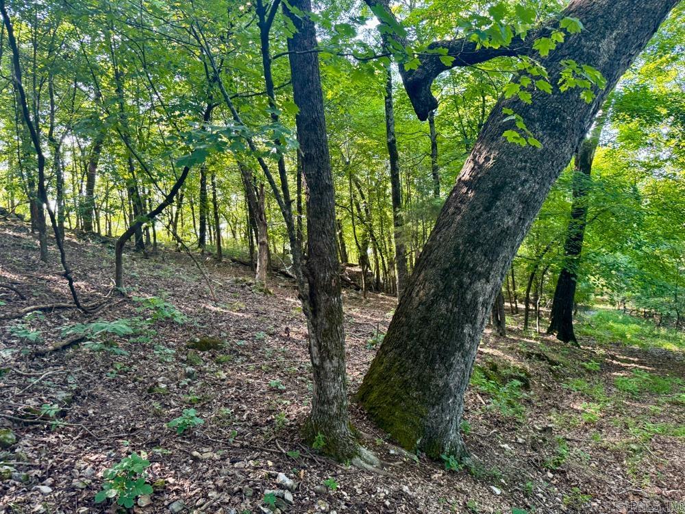001 9  Melbourne, AR