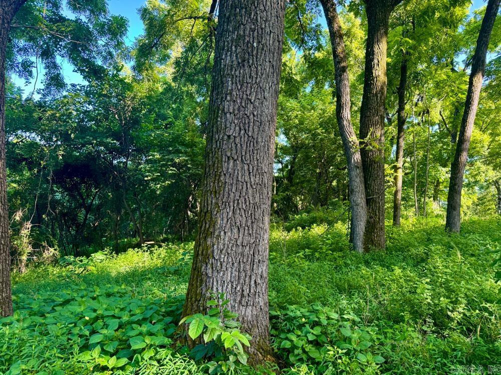 001 9  Melbourne, AR