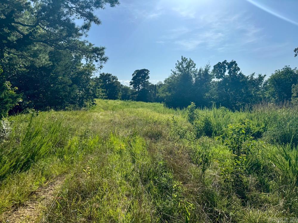 001 9  Melbourne, AR