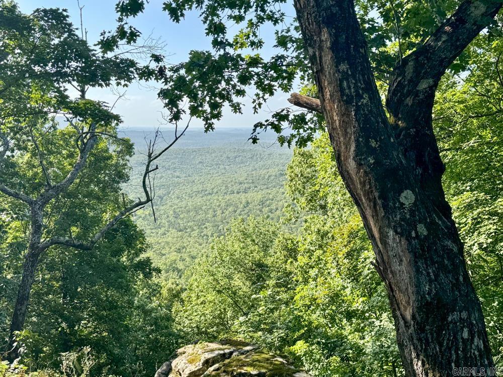 001 9  Melbourne, AR