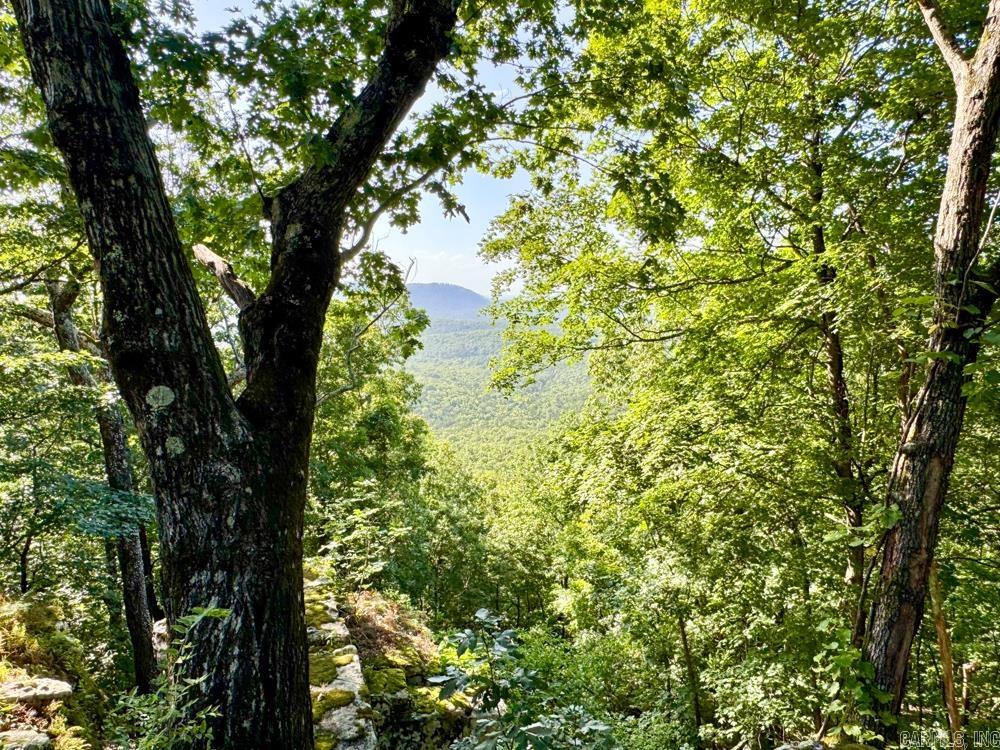 001 9  Melbourne, AR