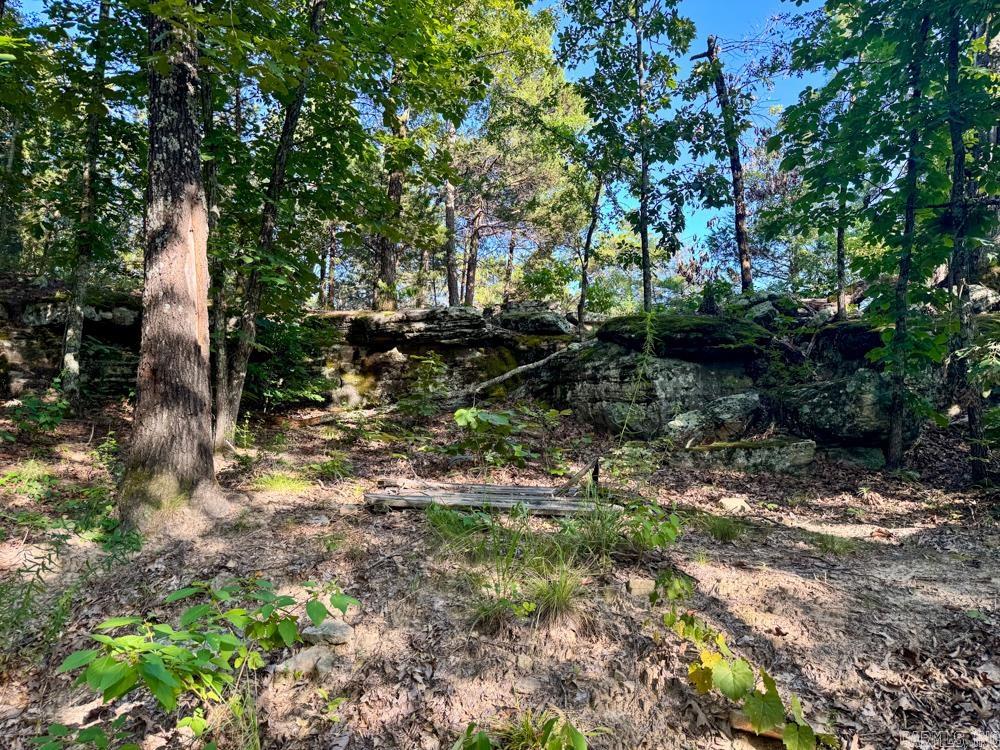001 9  Melbourne, AR