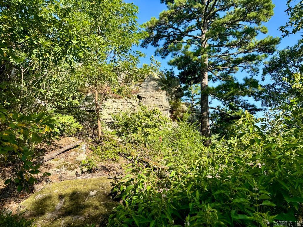 001 9  Melbourne, AR