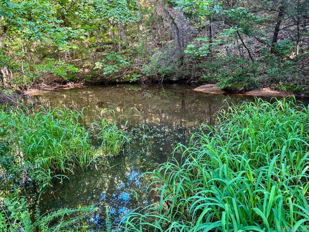 001 9  Melbourne, AR