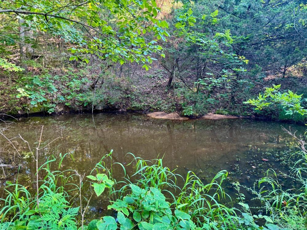 001 9  Melbourne, AR