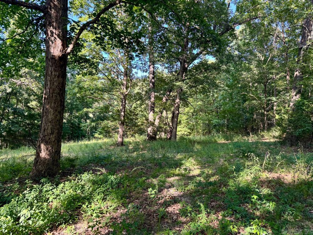 001 9  Melbourne, AR