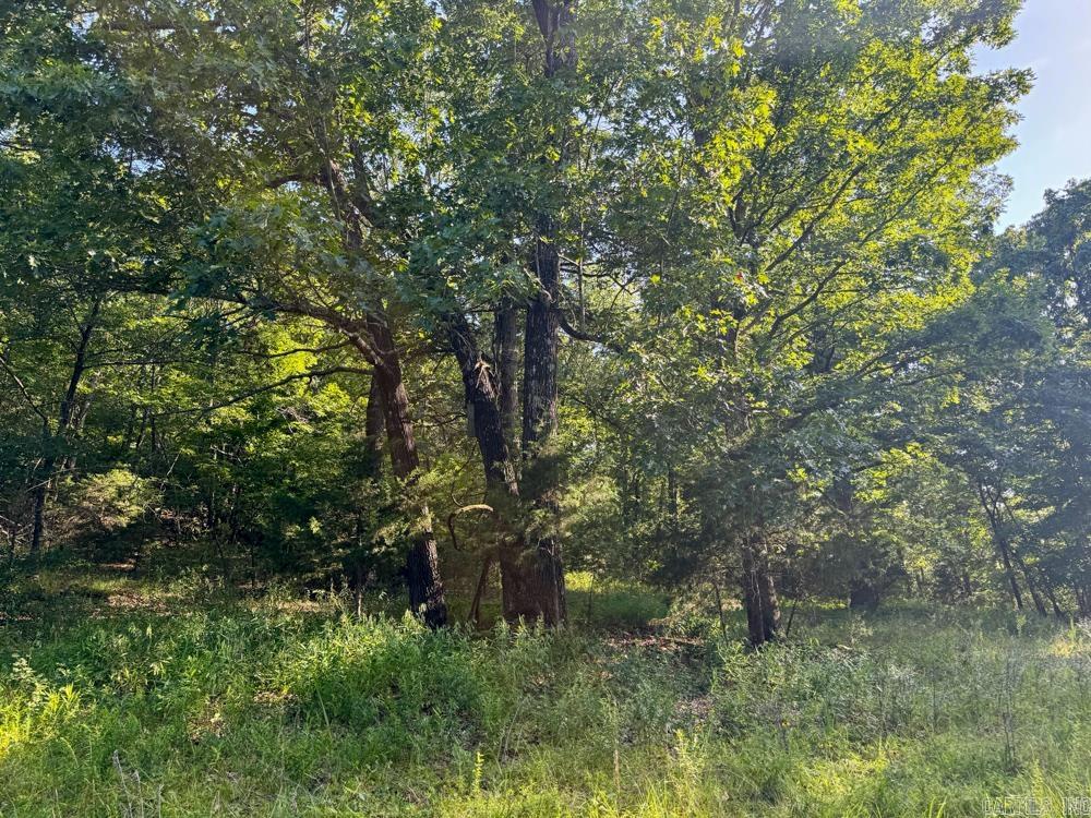 001 9  Melbourne, AR
