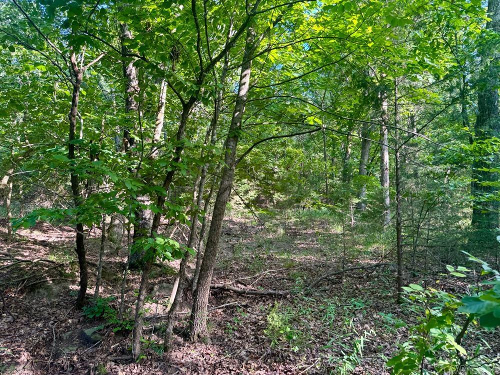 001 9  Melbourne, AR