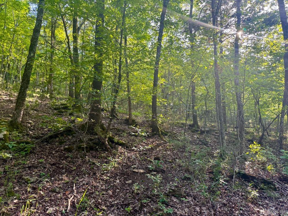 001 9  Melbourne, AR