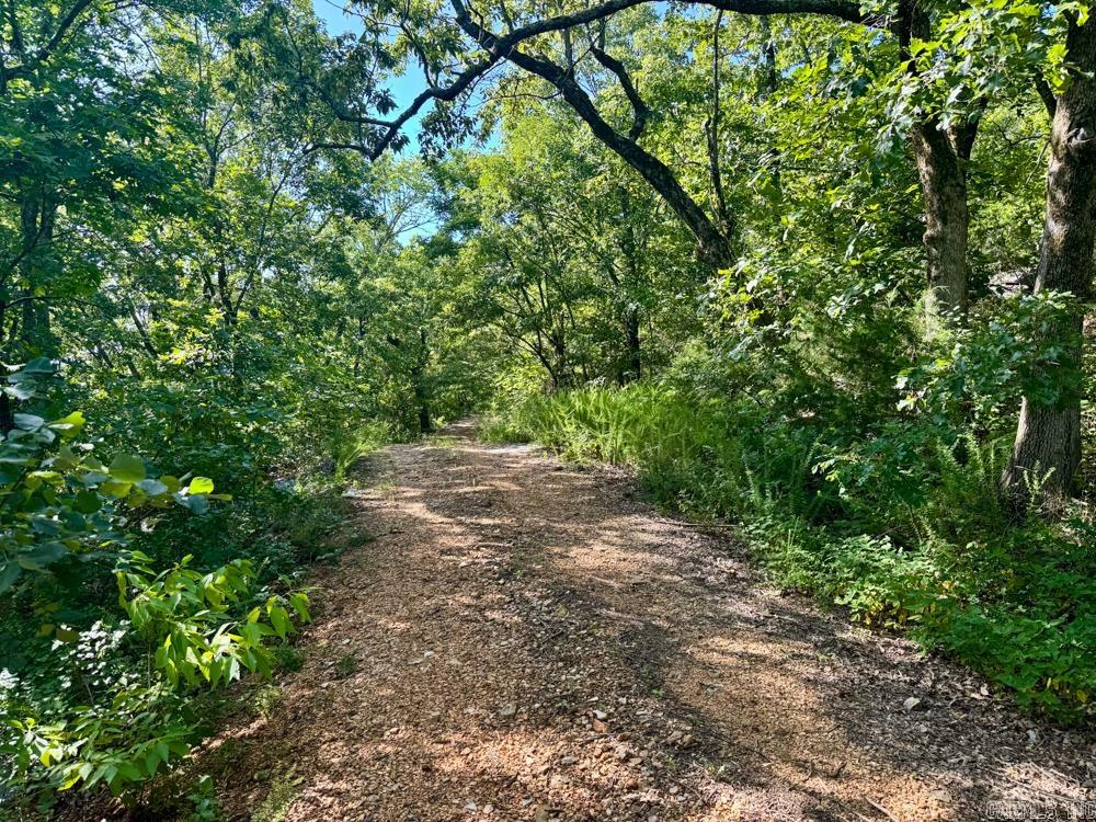 001 9  Melbourne, AR