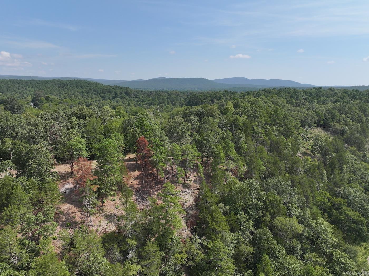 101 Rapids Run  Sims, AR