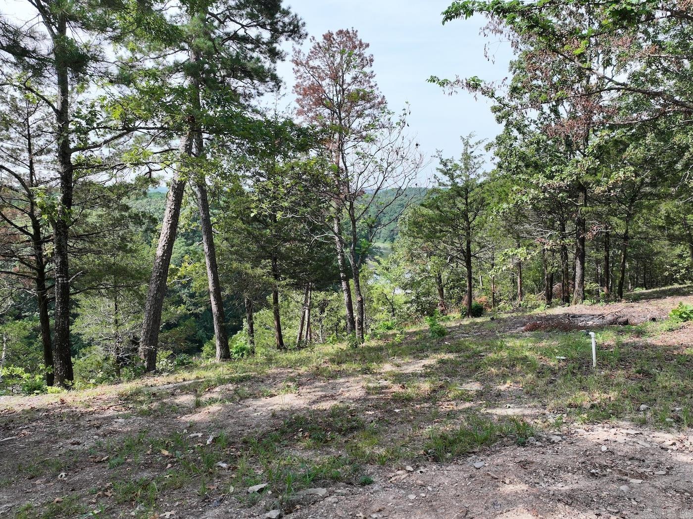 101 Rapids Run  Sims, AR