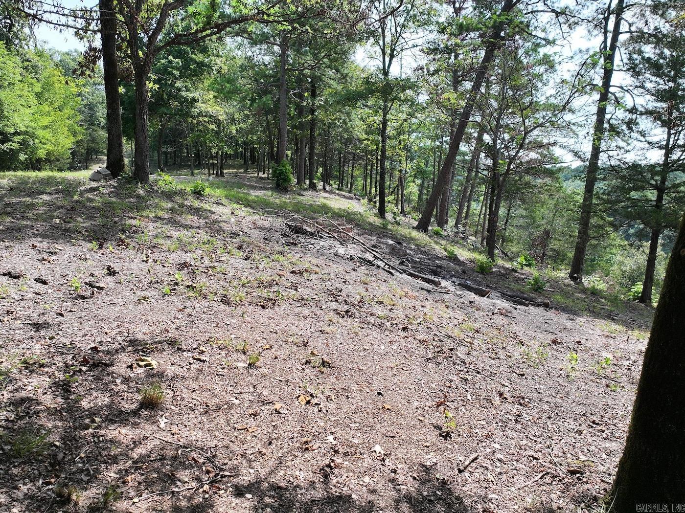 101 Rapids Run  Sims, AR