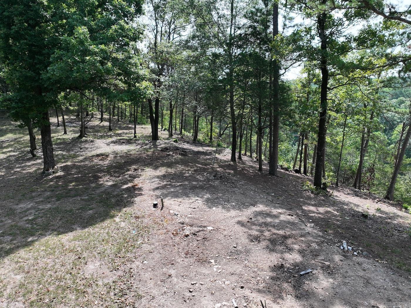 101 Rapids Run  Sims, AR