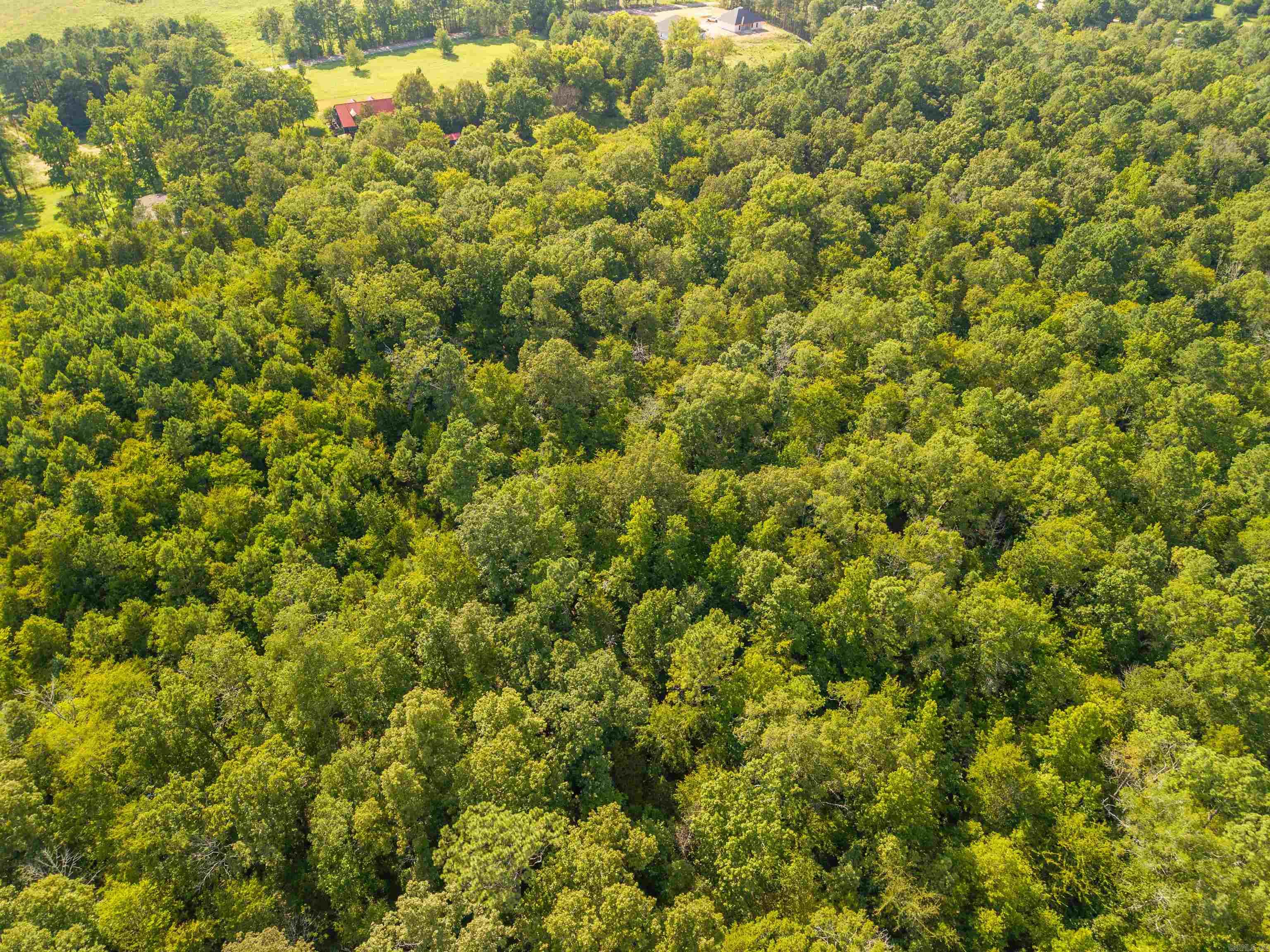 240 Brady Mountain  Royal, AR
