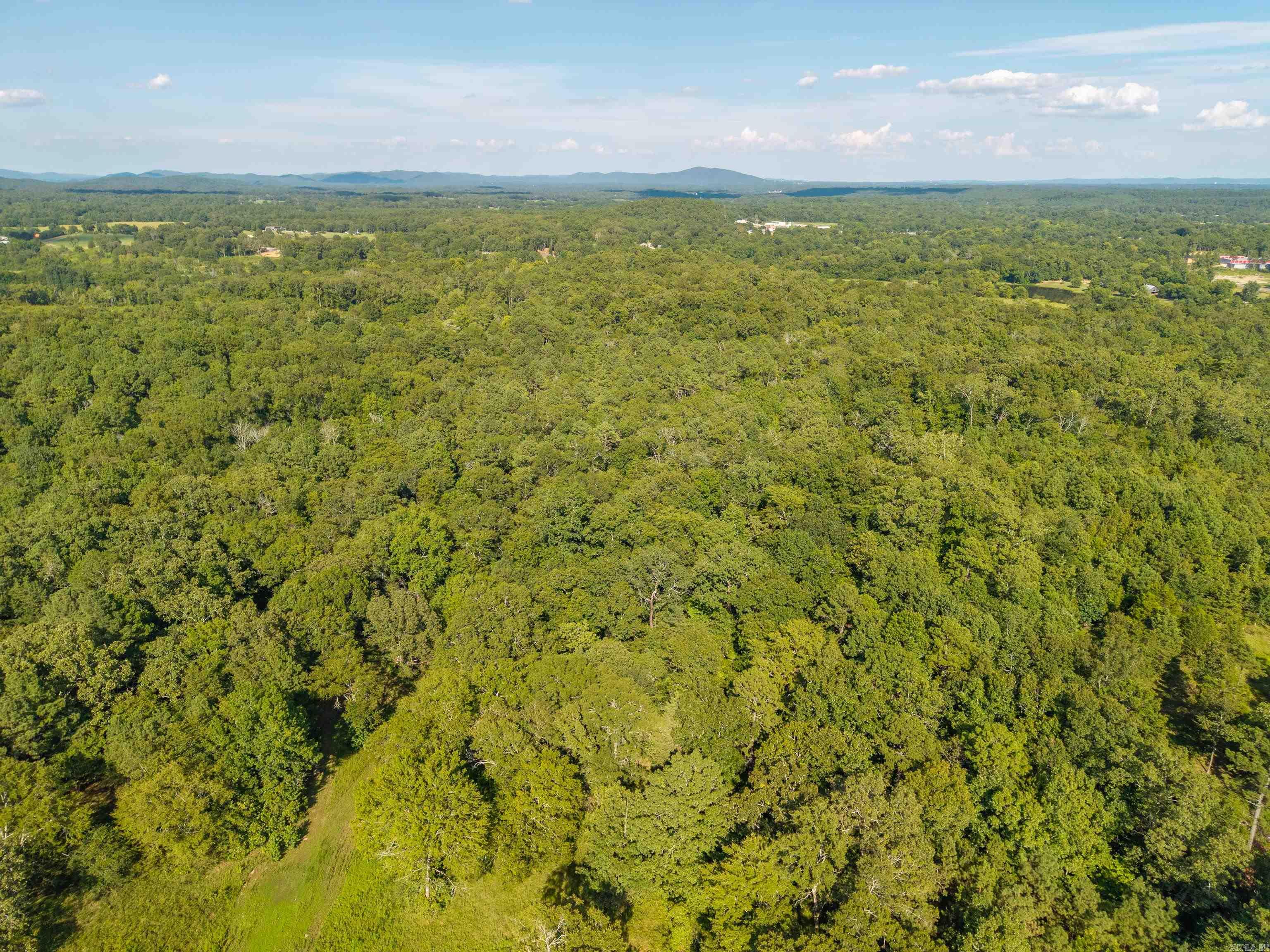240 Brady Mountain  Royal, AR