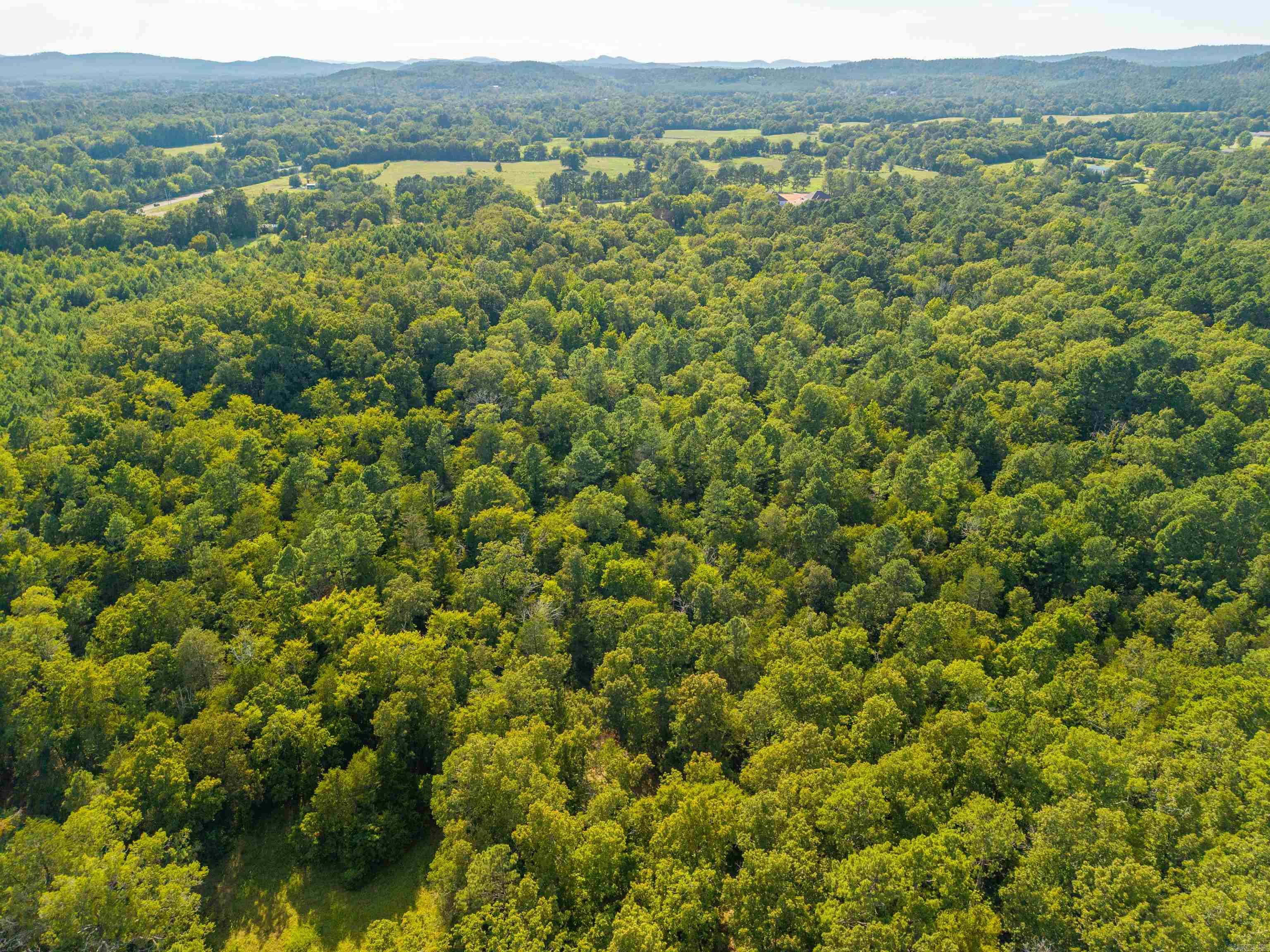 240 Brady Mountain  Royal, AR