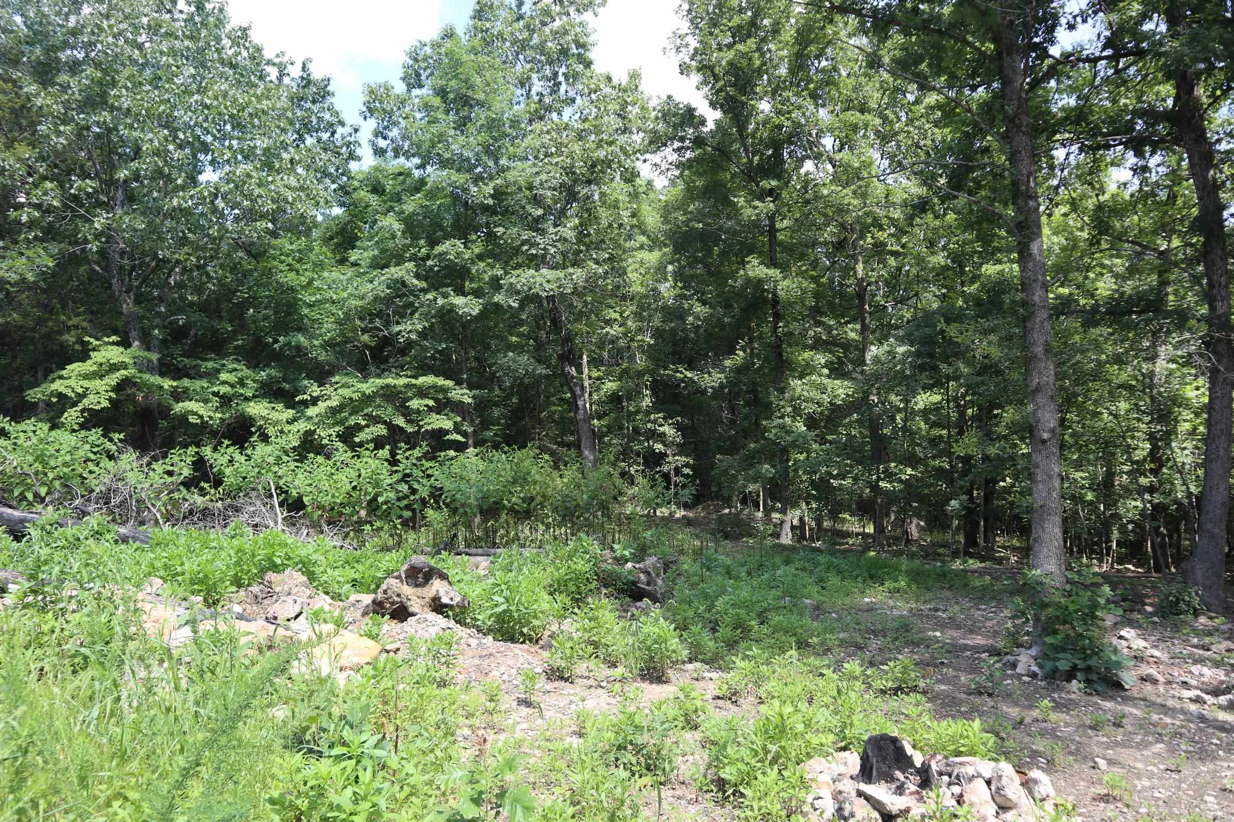 1371 Hand Cove Rd  Elizabeth, AR