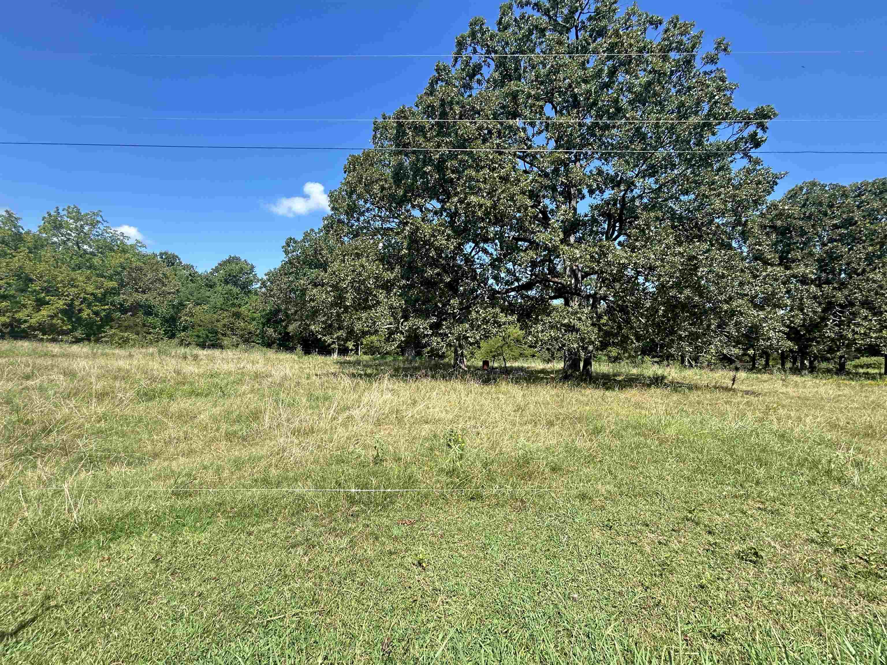 152 E Turkey Pen  Highland, AR