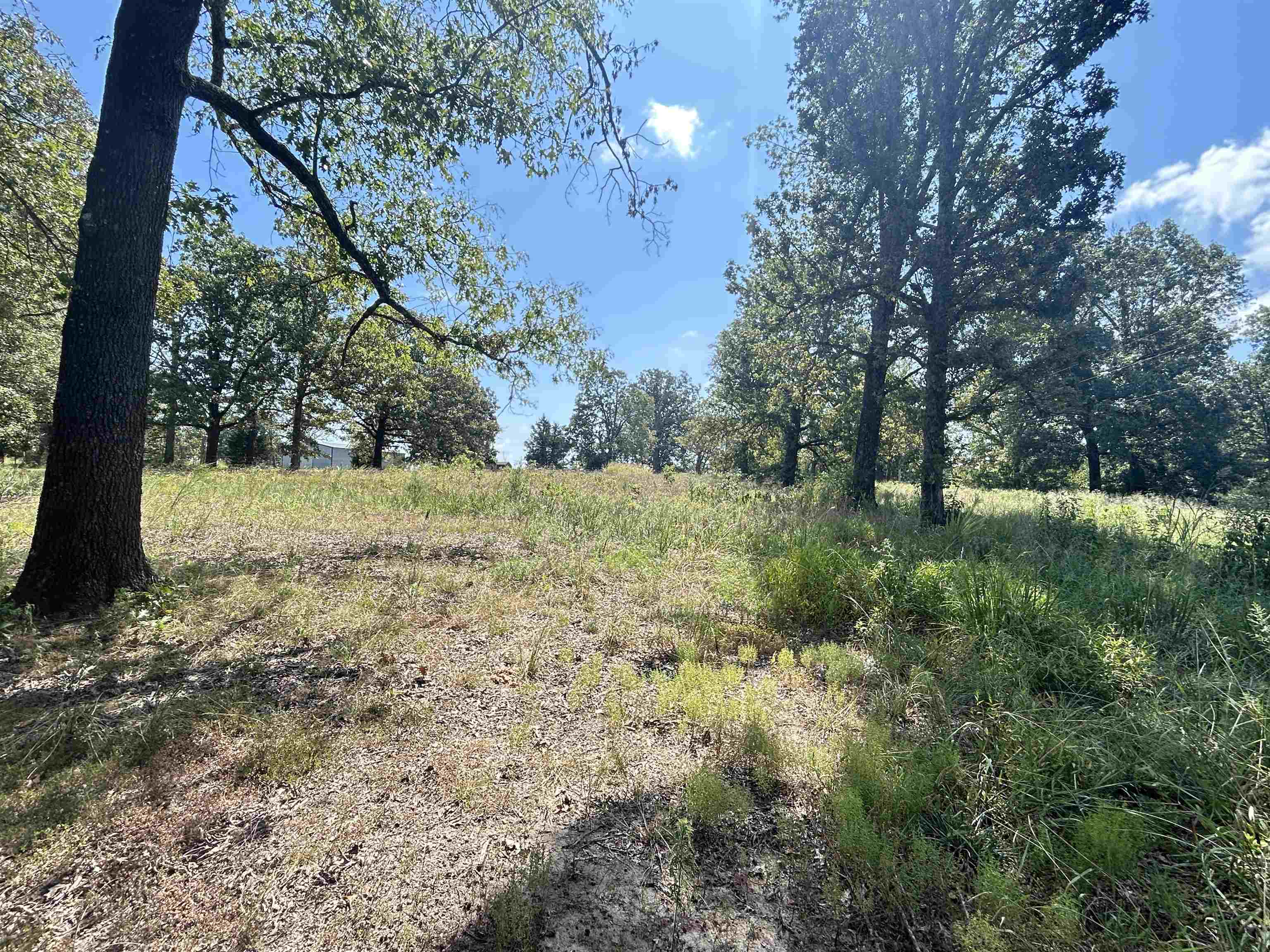 152 E Turkey Pen  Highland, AR