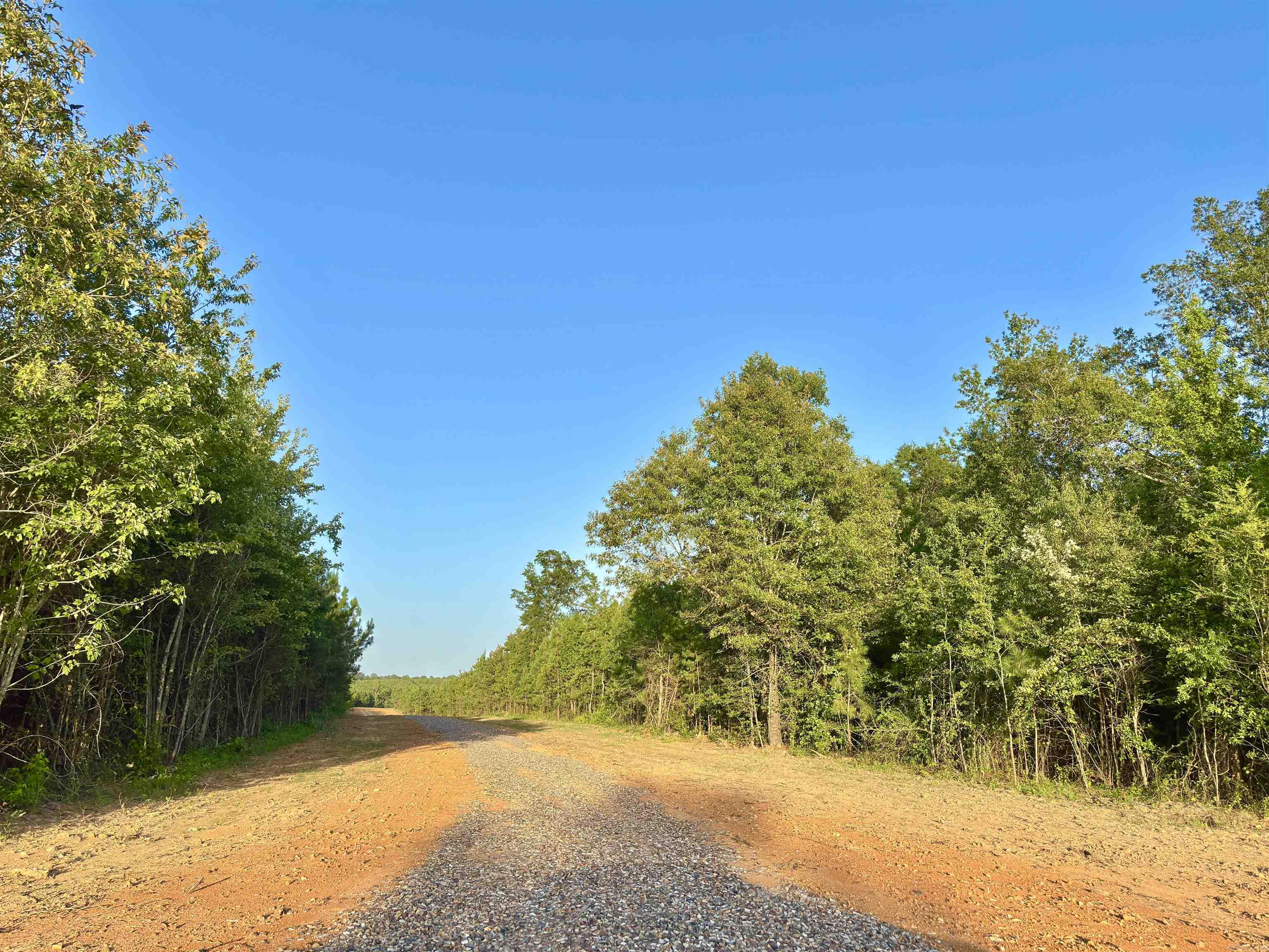 Tract 2A Avalon Lake  Mena, AR