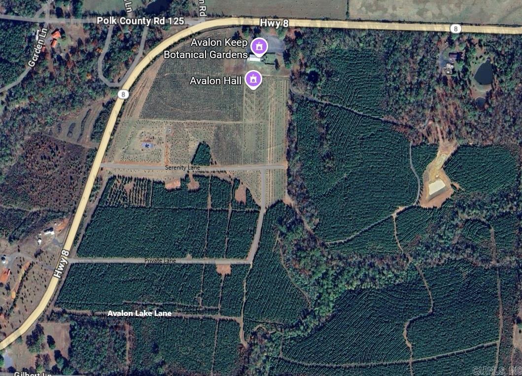 Tract 2A Avalon Lake  Mena, AR