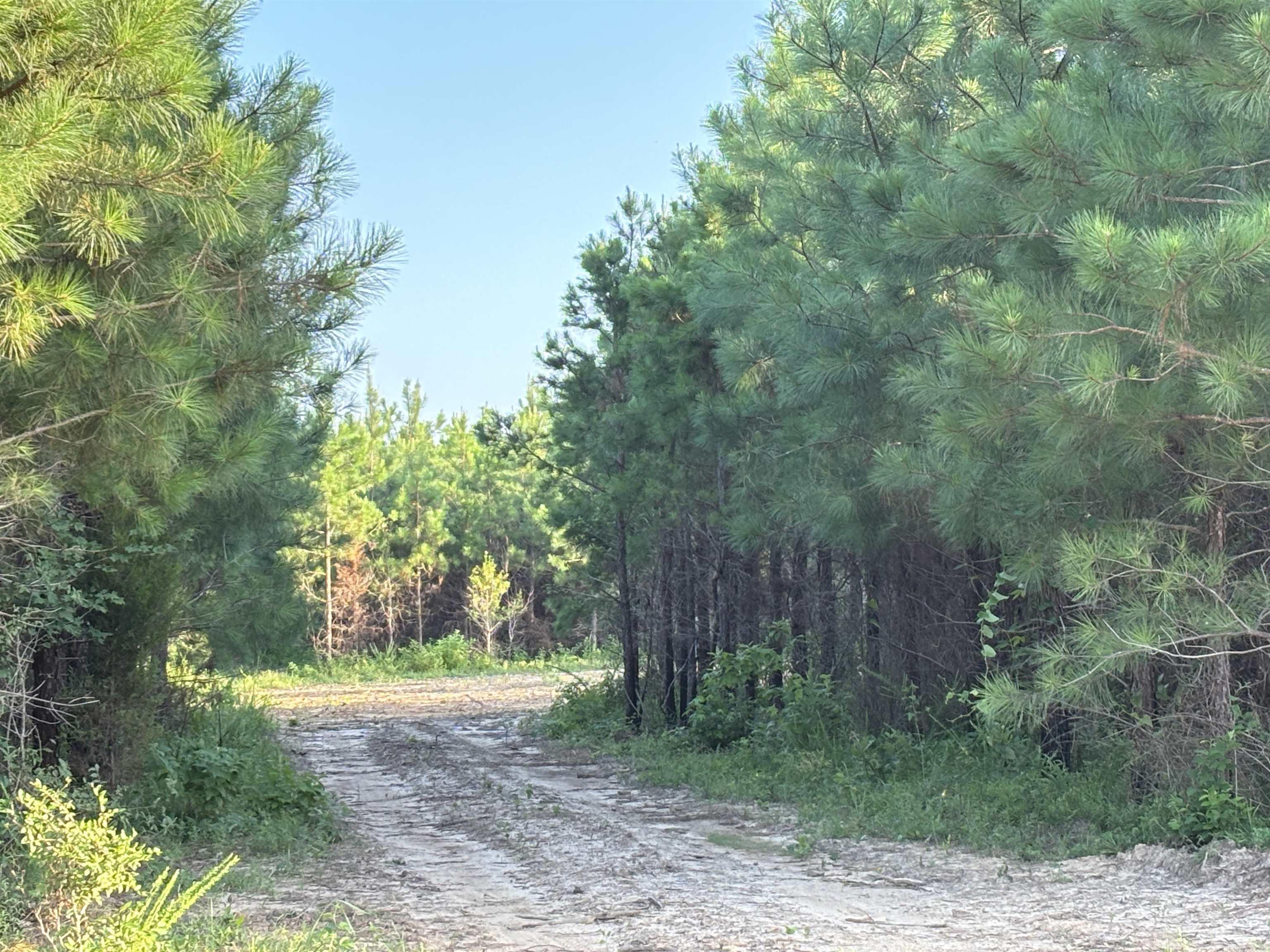 Tract 2B Avalon Lake  Mena, AR