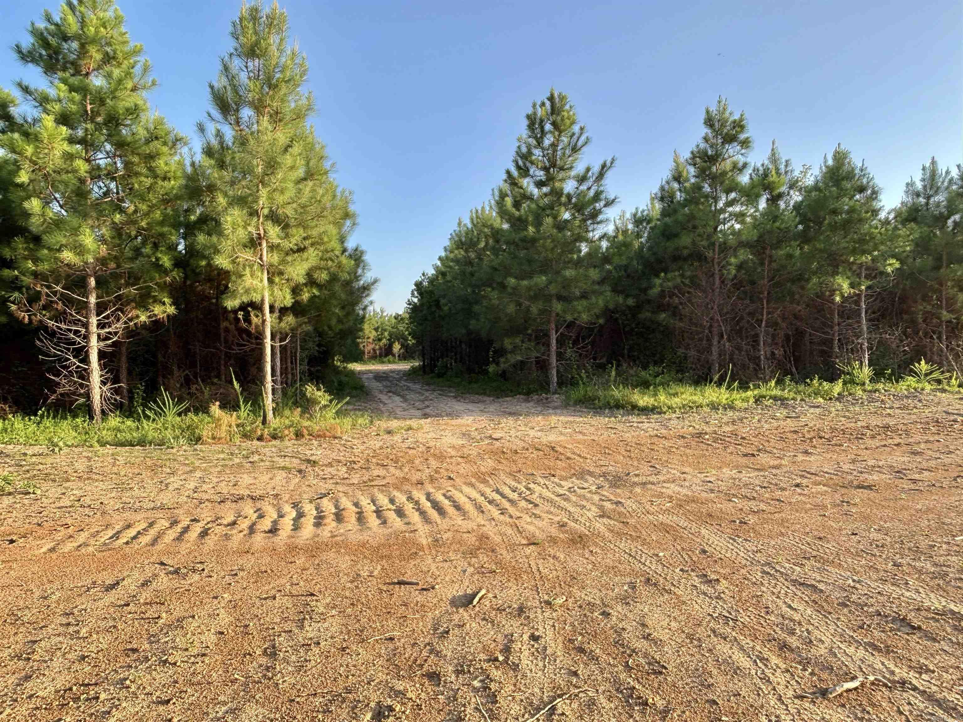 Tract 2B Avalon Lake  Mena, AR