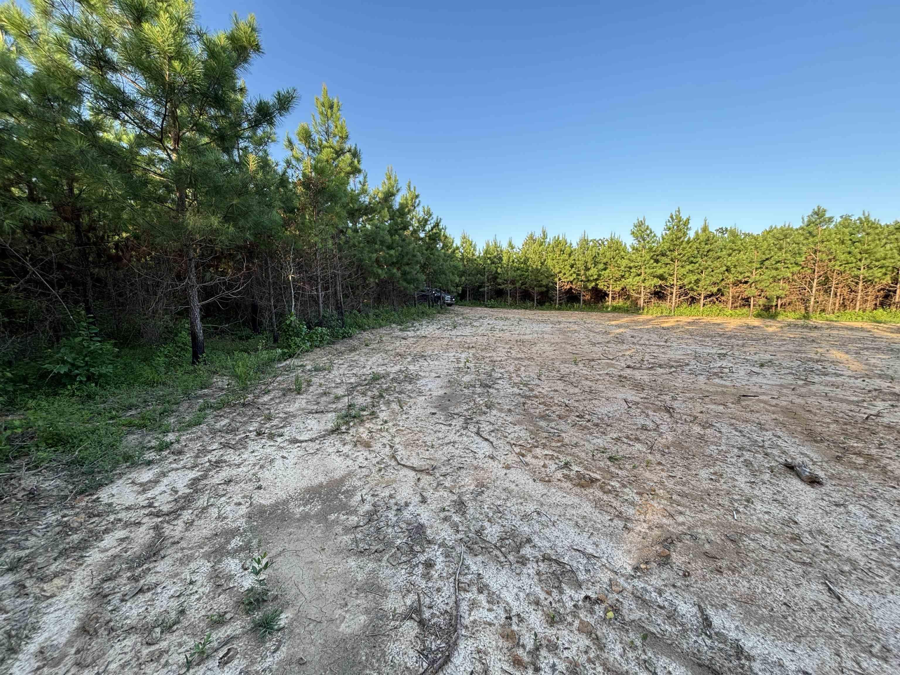 Tract 2B Avalon Lake  Mena, AR