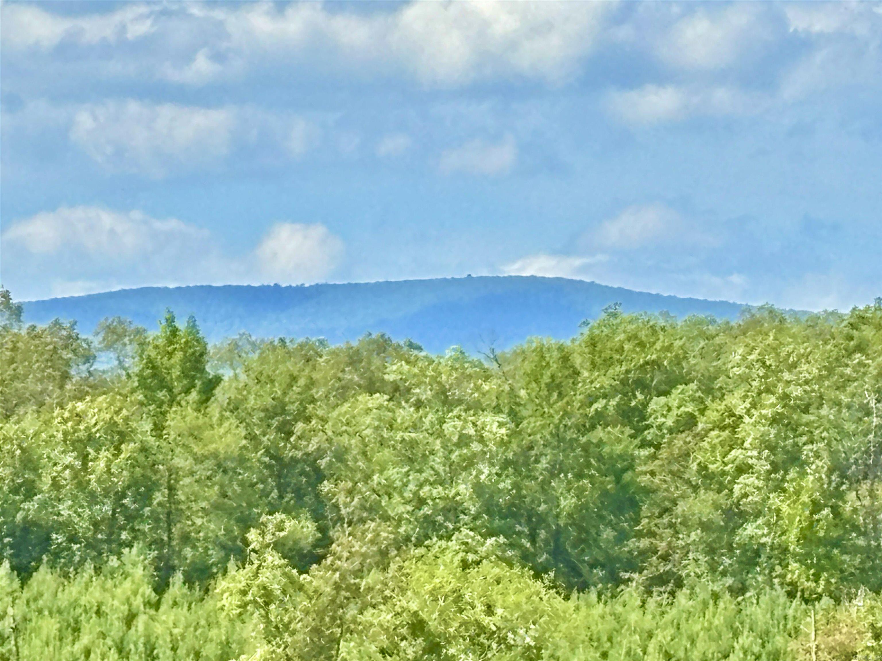 Tract 2C Avalon Lake  Mena, AR