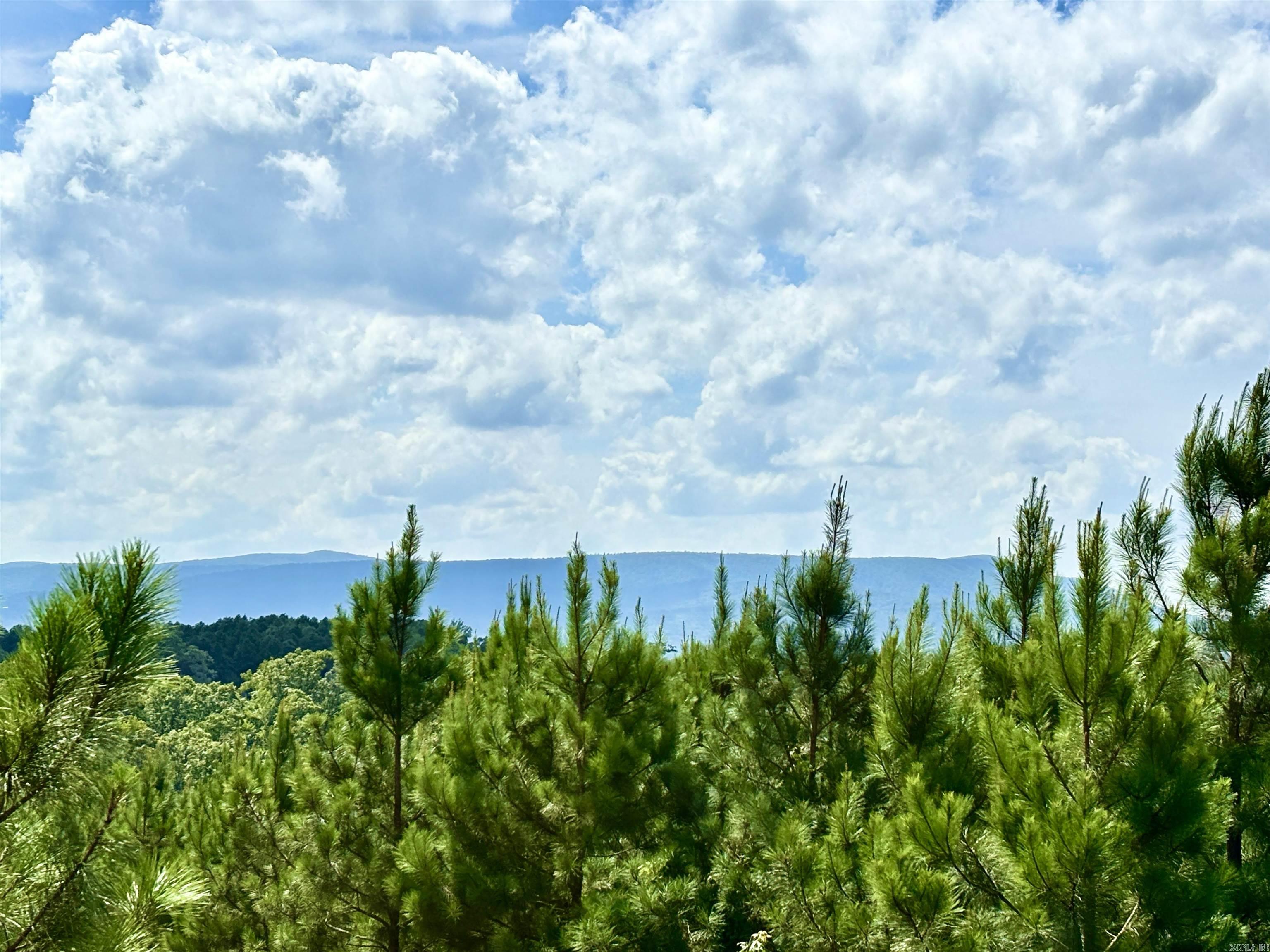 Tract 2C Avalon Lake  Mena, AR