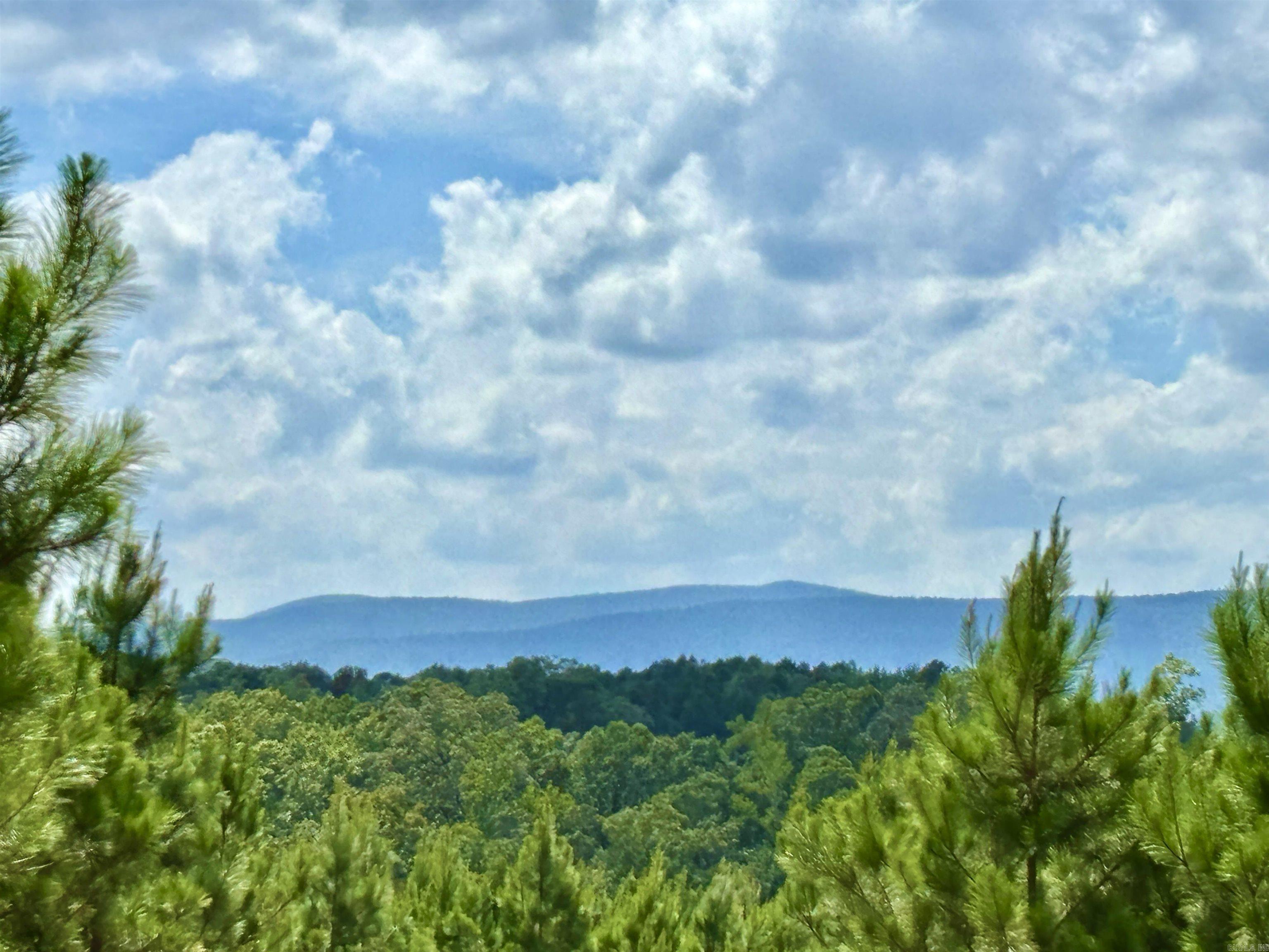 Tract 2C Avalon Lake  Mena, AR