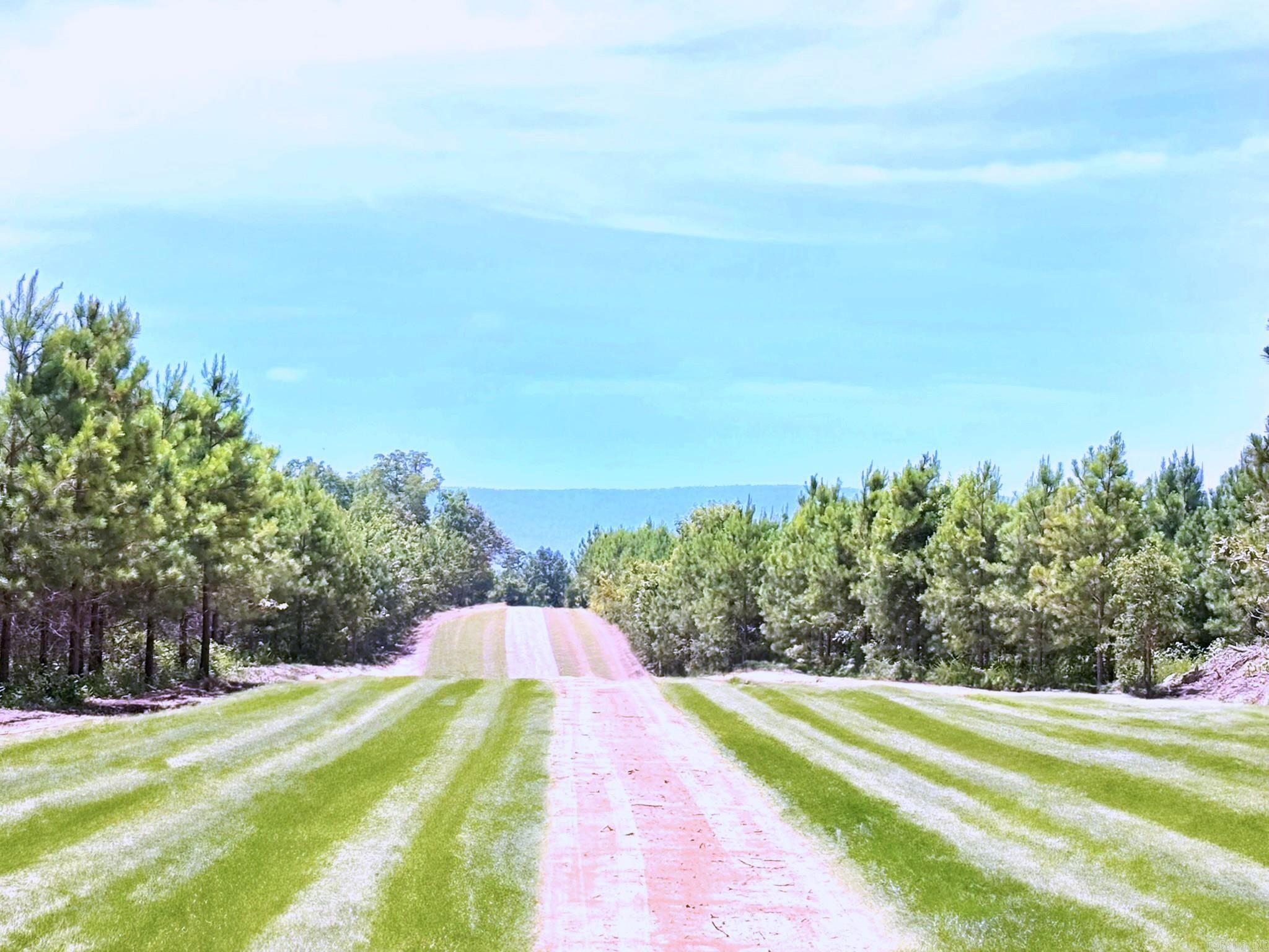 Tract 2C Avalon Lake  Mena, AR