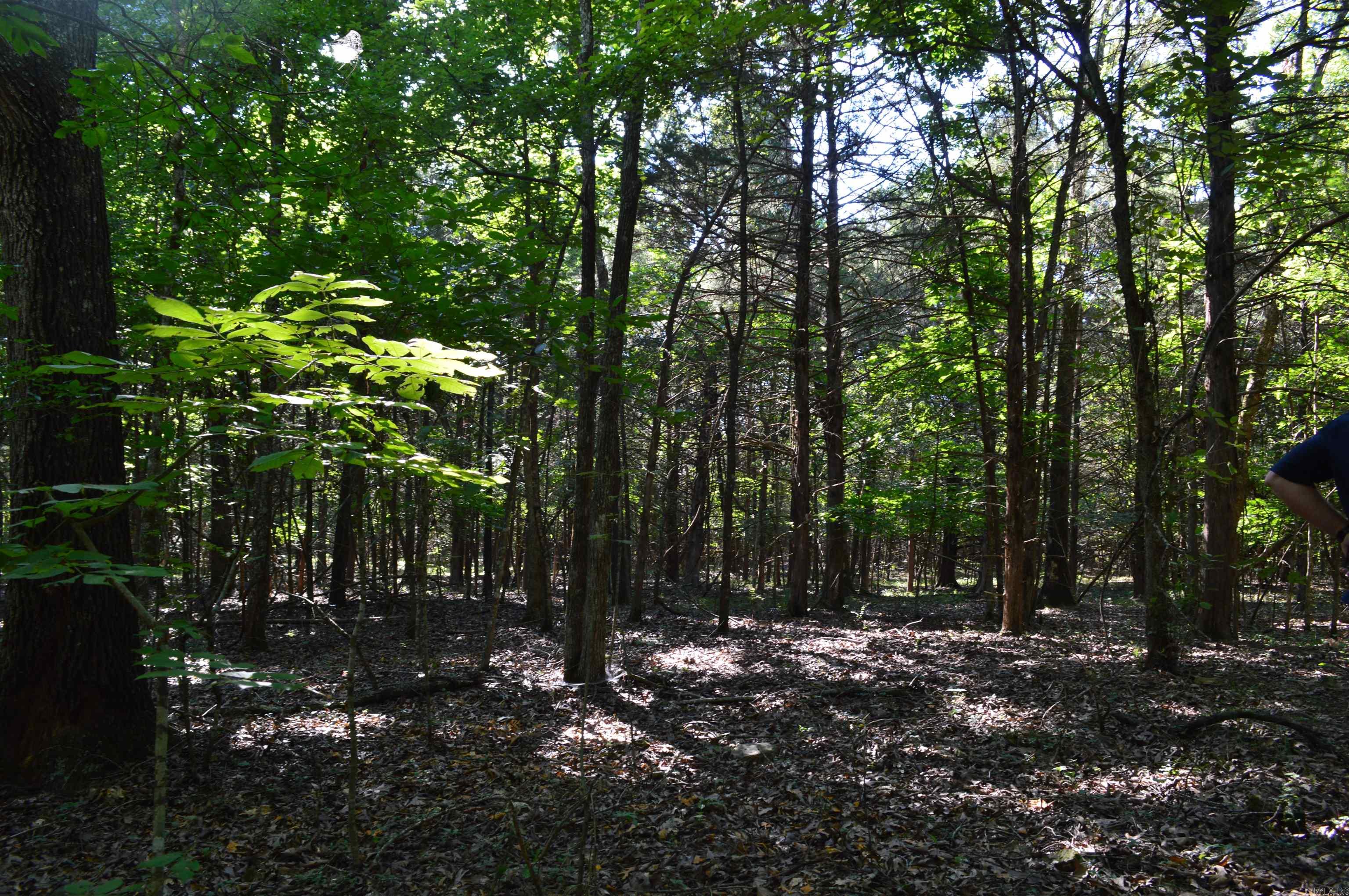 TBD Rainwood  Lead Hill, AR