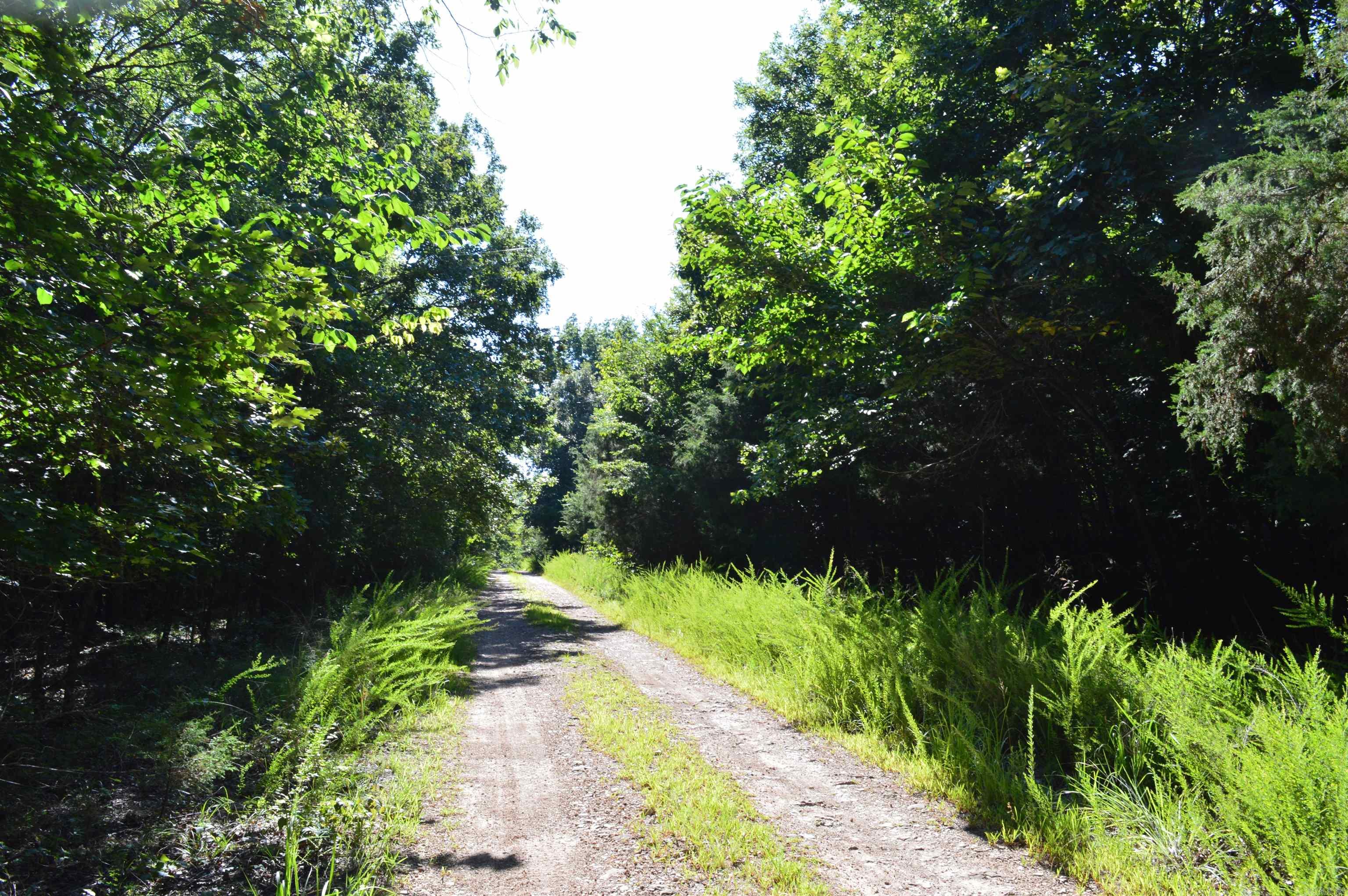 TBD Rainwood  Lead Hill, AR