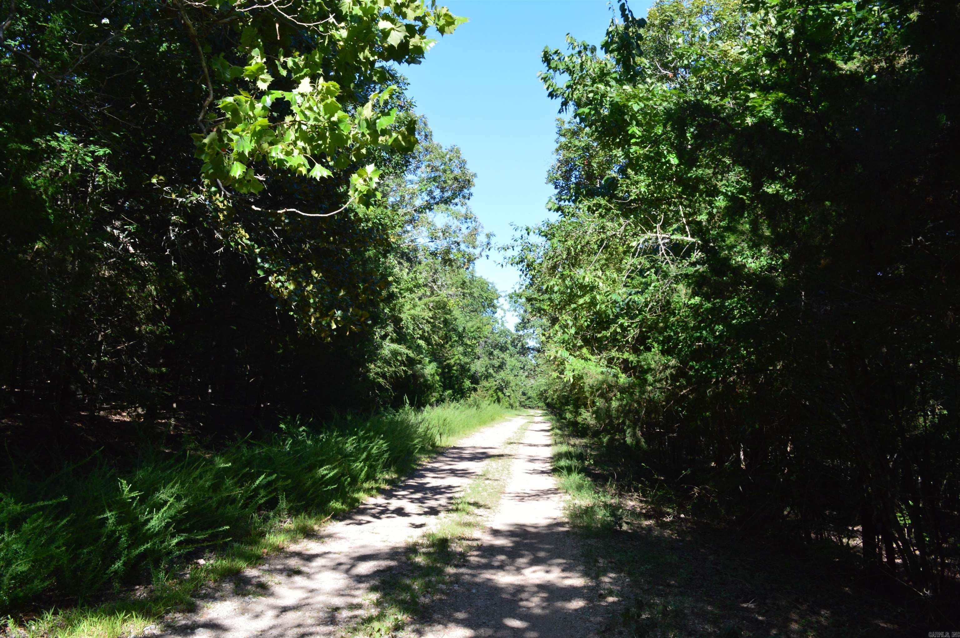 TBD Rainwood  Lead Hill, AR