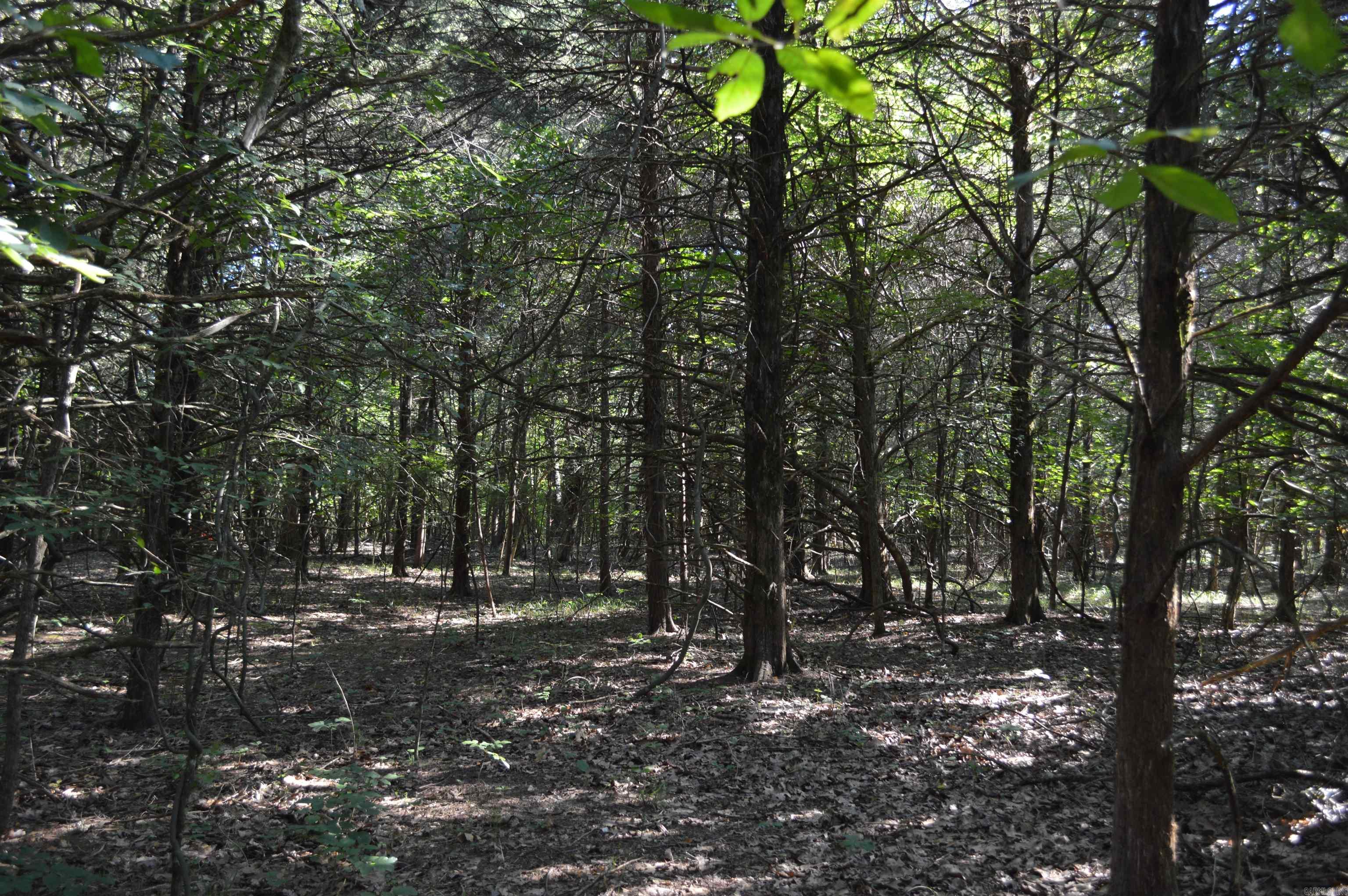 TBD Rainwood  Lead Hill, AR