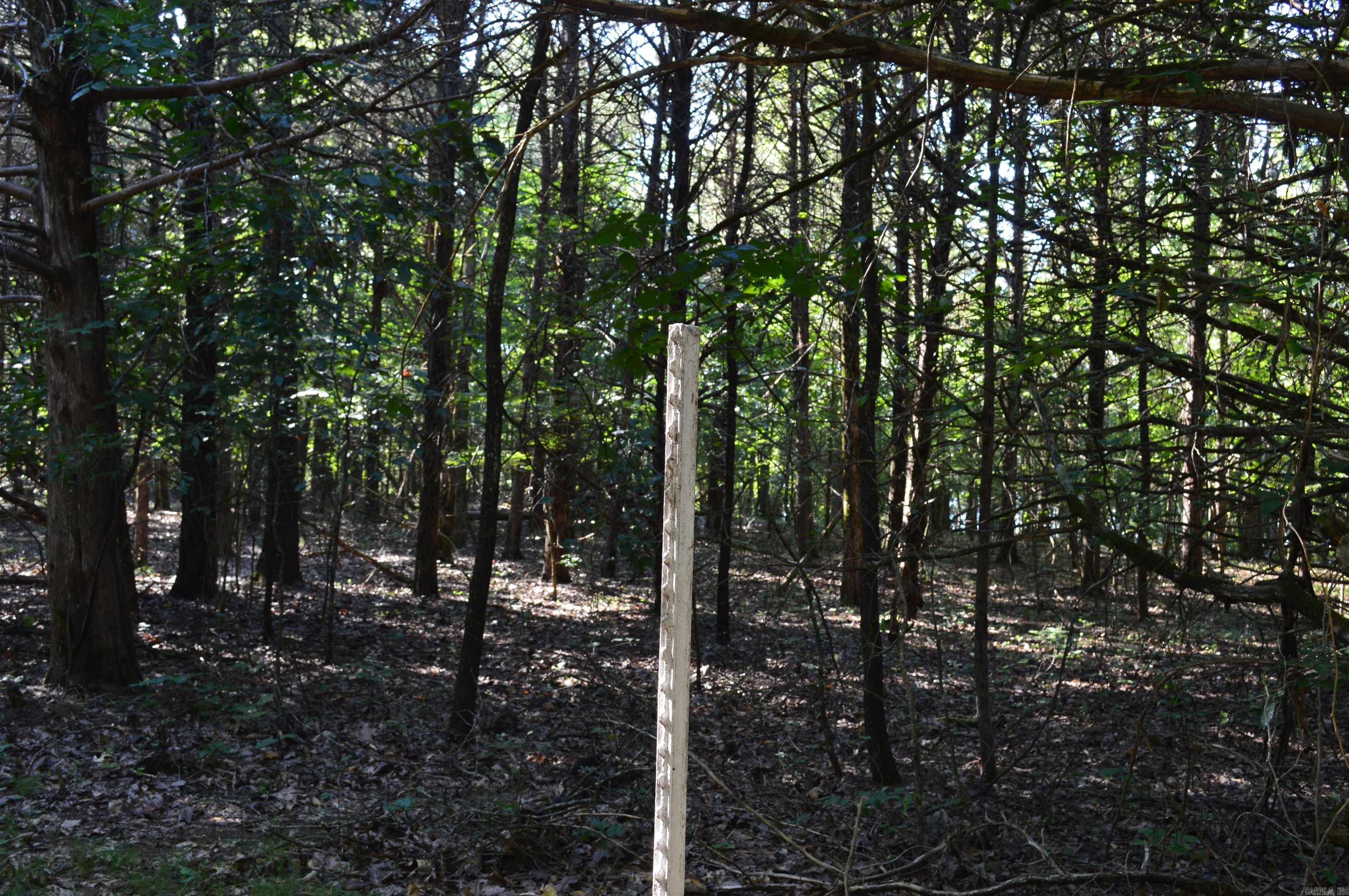 TBD Rainwood  Lead Hill, AR
