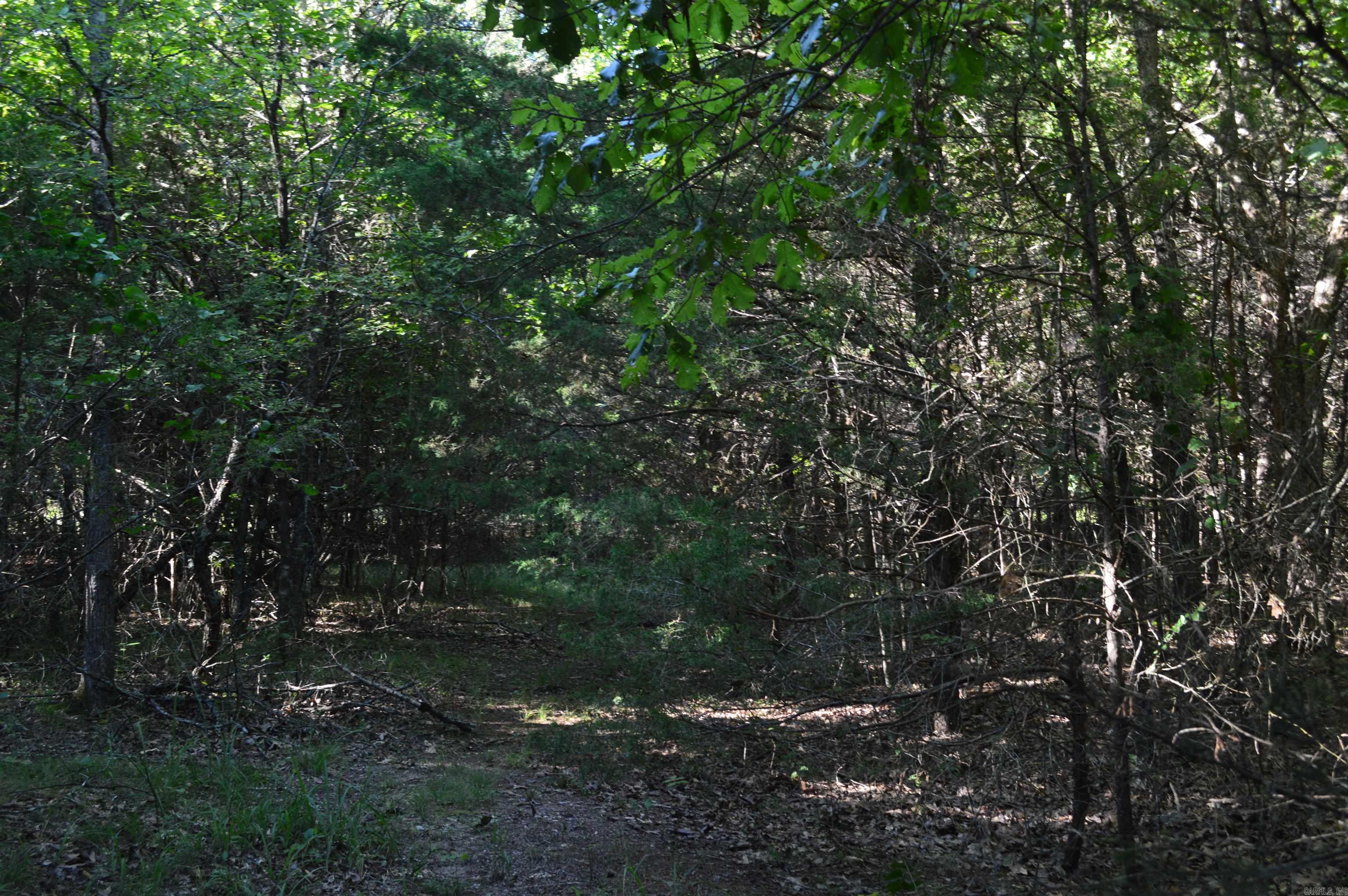 TBD Rainwood  Lead Hill, AR
