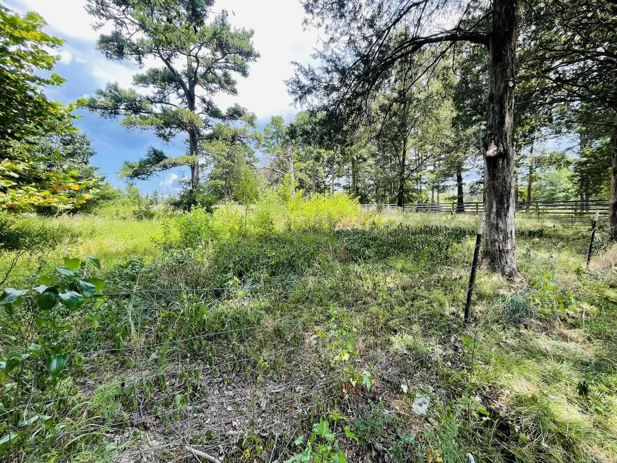 250 Stecker Road  Heber Springs, AR