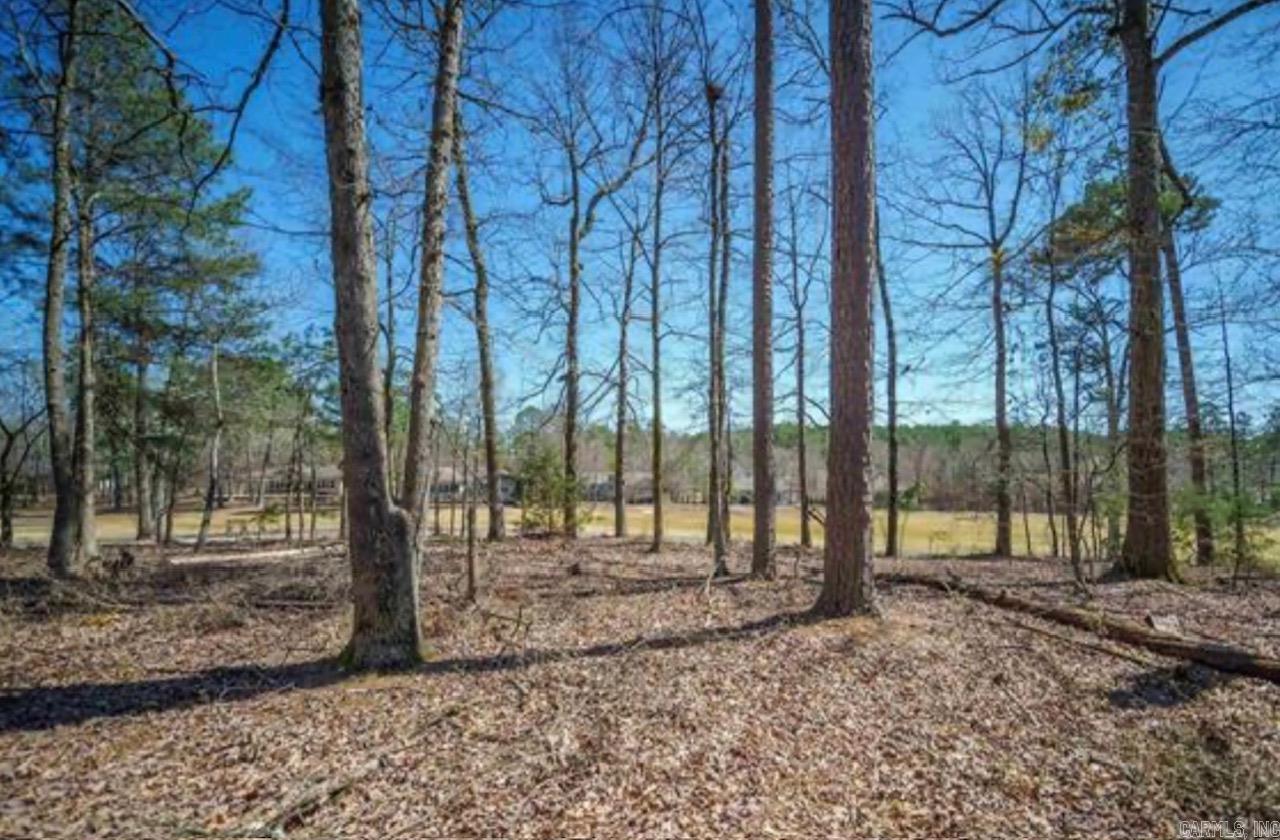 75 Cifuentes  Hot Springs Village, AR