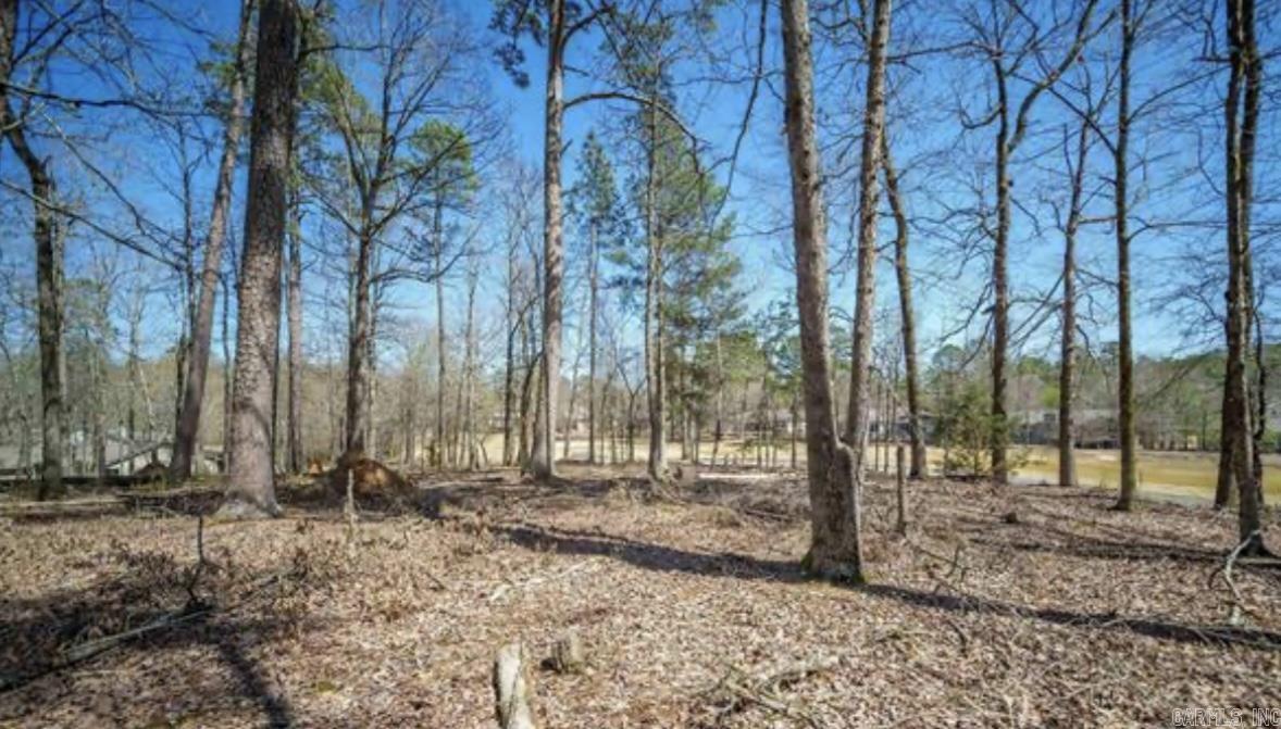 75 Cifuentes  Hot Springs Village, AR