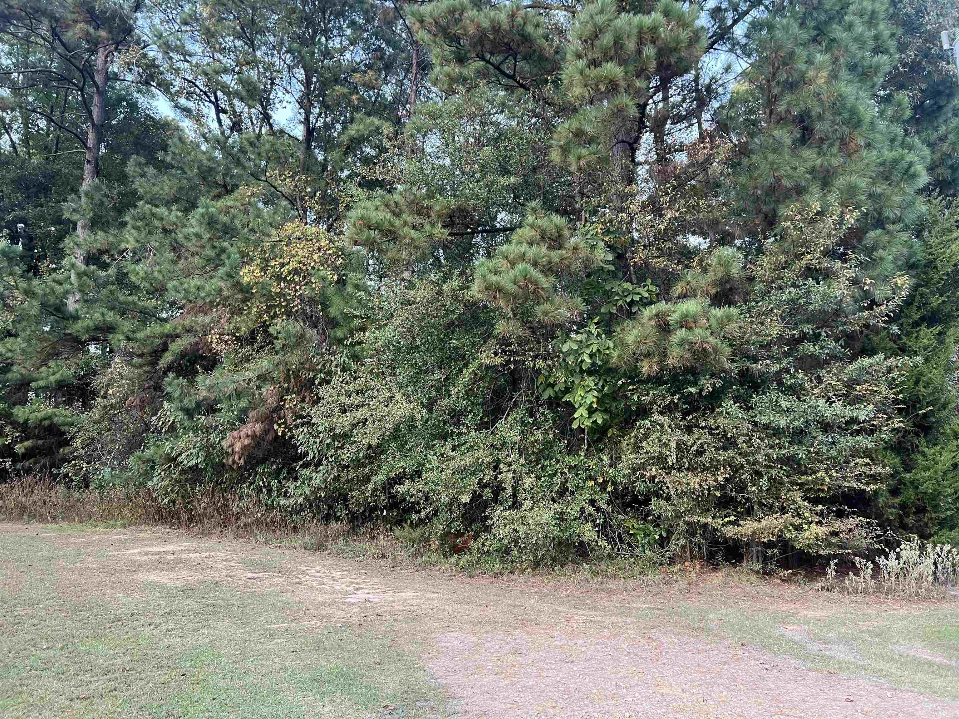 TBD E 14th  Ashdown, AR